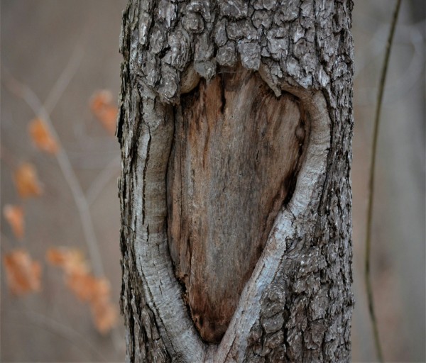 Stop Breakup Love spells- stop separation